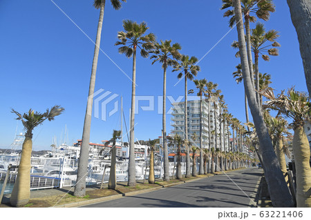 逗子マリーナ　神奈川県逗子市 63221406