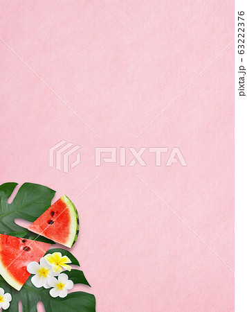 背景 ピンク 夏 スイカ モンステラ プルメリアのイラスト素材