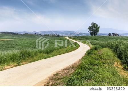 風景 空 木 63223890