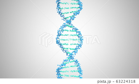 DNA molecule helix, 3D rendering 63224318