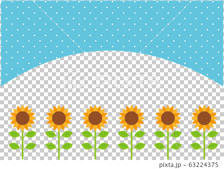 Sunflower field 63224375