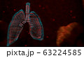 Human lungs infected by the Coronavirus. Human lungs infected by the Coronavirus. Illustration 63224585