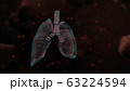 Human lungs infected by the Coronavirus. Human lungs infected by the Coronavirus. Illustration 63224594