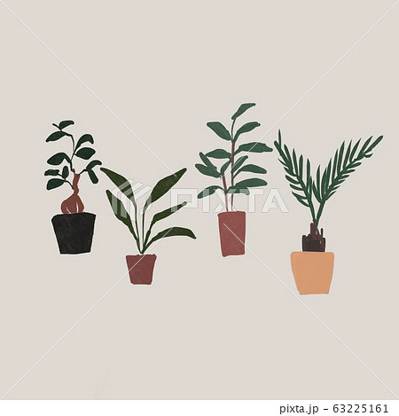 観葉植物 ガジュマル ストレチアオーガスタ ナギ ソテツのイラスト素材