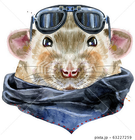 Watercolor portrait of rat with biker sunglasses - Stock Illustration