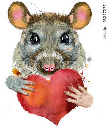 Watercolor portrait of rat with red heart 63227277