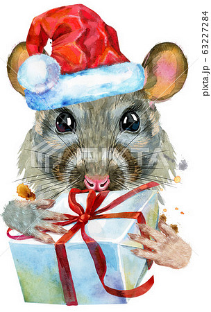 Watercolor portrait of rat in Santa hat with gift Watercolor portrait of rat in Santa hat with gift 63227284