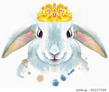 Watercolor illustration of a white rabbit with 63227299