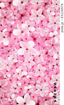 Blossoming pink sakura flowers background. Beautiful print 63228978