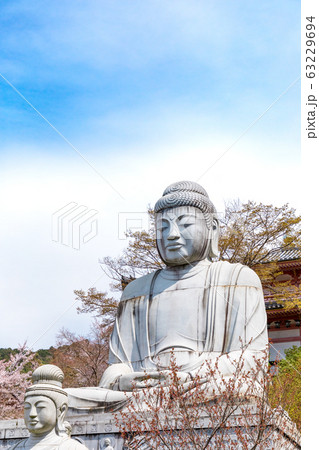 壷阪寺の桜 大釈迦如来石像  奈良県 63229694