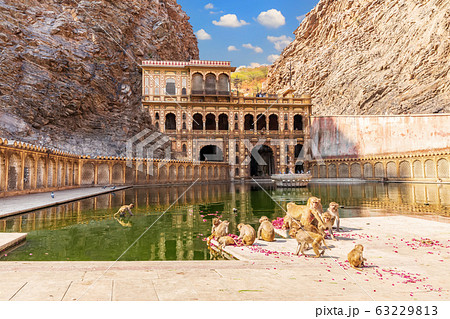 Galta Ji Temple or Monkey Temple complex in 63229813