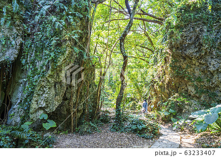 斎場御嶽 沖縄県 日本 63233407