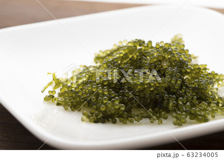 海ぶどう 63234005