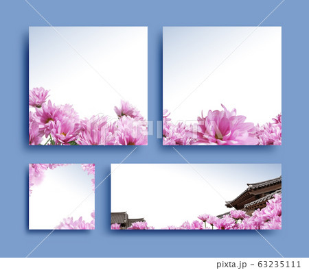 春 花 葉 63235111