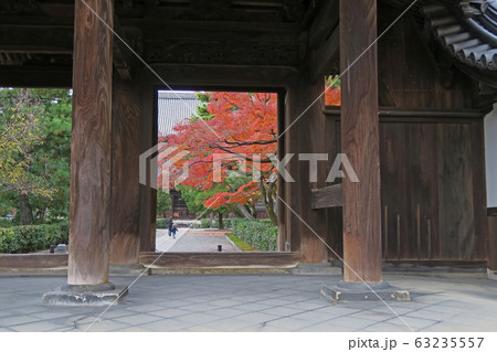 京都　東山　建仁寺　紅葉 63235557