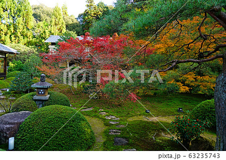 京都 東山 泉涌寺 雲龍院 紅葉 京都 東山 泉涌寺 雲龍院 紅葉 63235743