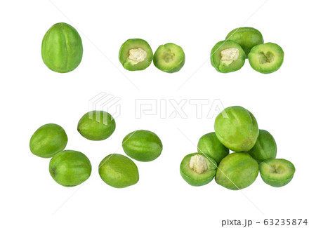 Chebulic Myrobalans, Myrolan Wood (Terminalia Chebulic Myrobalans, Myrolan Wood (Terminalia 63235874