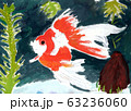 水槽の中の金魚 63236060
