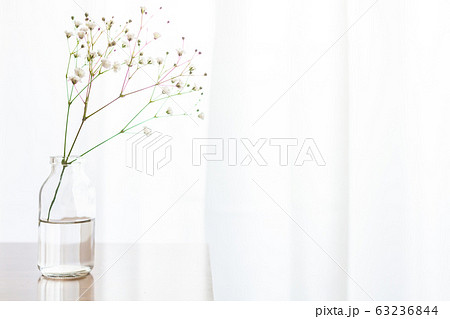 部屋の花瓶に飾ったかすみ草の一輪挿しの写真素材
