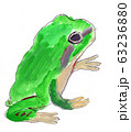 横を向いたカエル 63236880