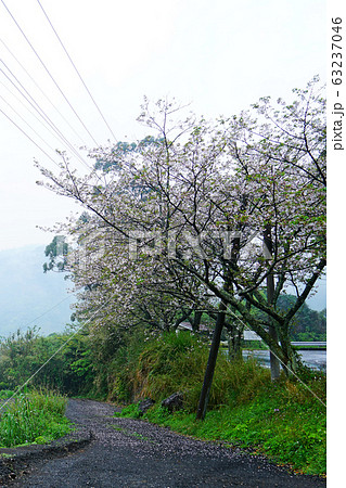 鰻温泉　指宿市　鹿児島県 63237046
