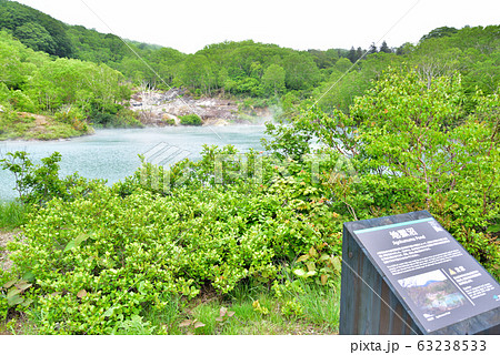 青森県 酸ヶ湯温泉 地獄沼 青森県 酸ヶ湯温泉 地獄沼 63238533
