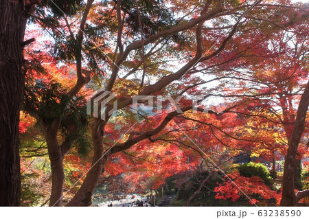 京都八瀬の紅葉風景 63238590
