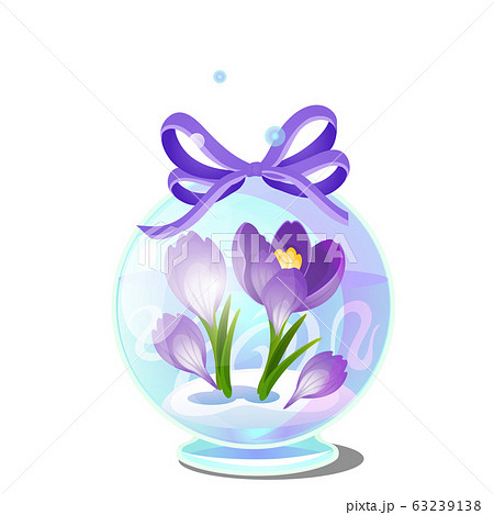 Cute creative gift in the form of transparent glass ball with crocuses in the snow isolated on white background. Vector cartoon close-up illustration. Cute creative gift in the form of transparent glass ball with crocuses in the snow isolated on white background. Vector cartoon close-up illustration. 63239138
