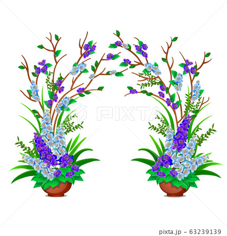 Decorative potted flowering plants isolated on white background. Vector cartoon close-up illustration. Decorative potted flowering plants isolated on white background. Vector cartoon close-up illustration. 63239139