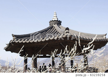 陸上 土地 陸 63239258