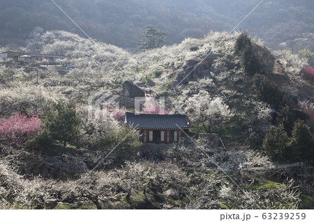 陸上 土地 陸 63239259