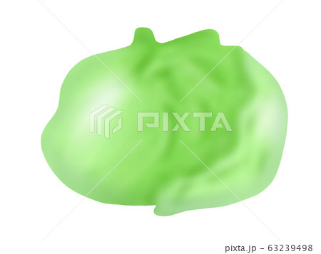 レタス(主線なし) 63239498