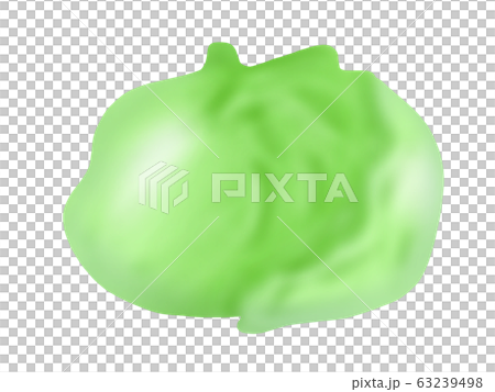 レタス(主線なし) 63239498