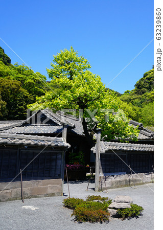 仙厳園　鹿児島県 63239860