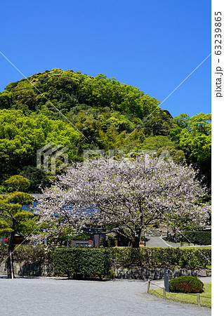 仙厳園　鹿児島県 63239865