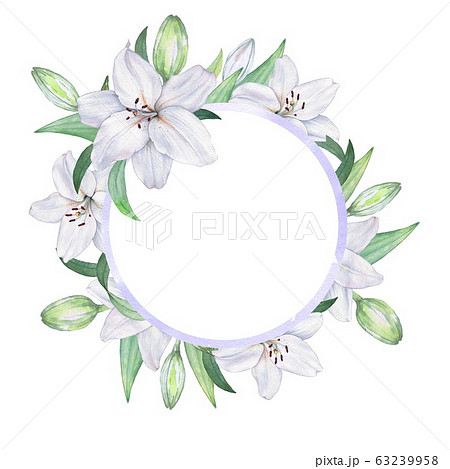 Round frame of white lilies 3. Watercolor 63239958