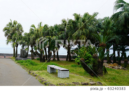 青島 青島神社 宮崎県 青島 青島神社 宮崎県 63240383