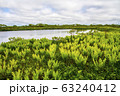 サロベツ湿原の湖 63240412