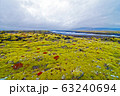苔に覆われた平野 63240694