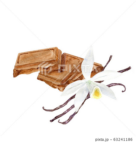 Chocolate Pieces With Vanilla Flower Stock Illustration