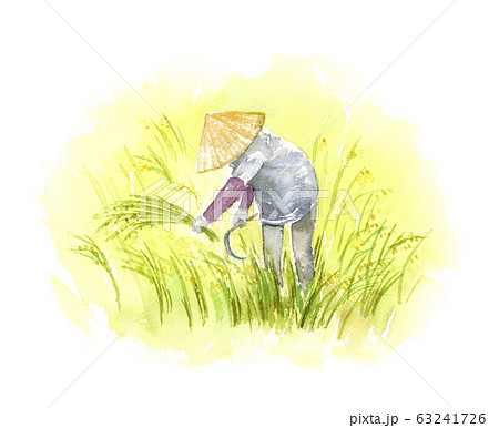 稲刈り 水彩画のイラスト素材