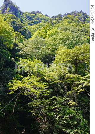 赤目四十八滝　三重県 63241914
