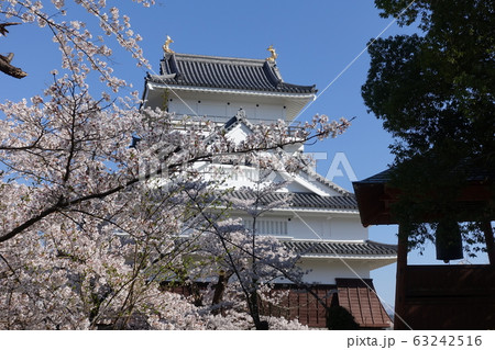 桜の上山城 63242516