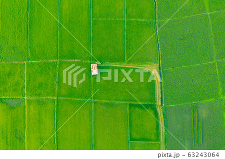 aerial view agricultural field 63243064
