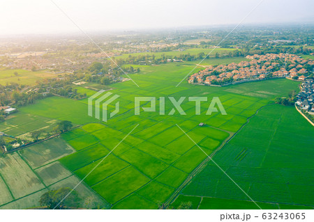 rice field and housing estate rice field and housing estate 63243065