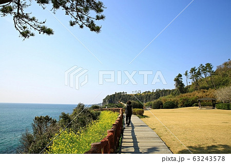 水平線 浜 海岸 63243578