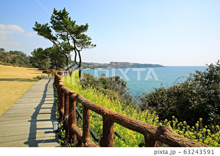 水平線 浜 海岸 63243591