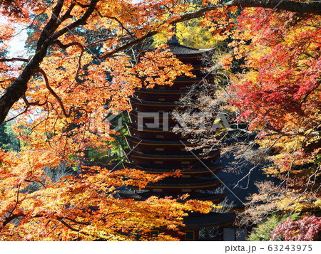 11月 紅葉 談山神社 11月 紅葉 談山神社 63243975