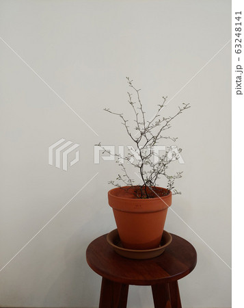 カーテン 窓 壁 63248141