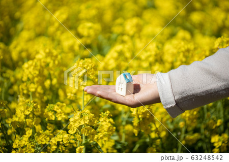 菜の花畑をバックに女性の手の上に乗ったおうち 菜の花畑をバックに女性の手の上に乗ったおうち 63248542